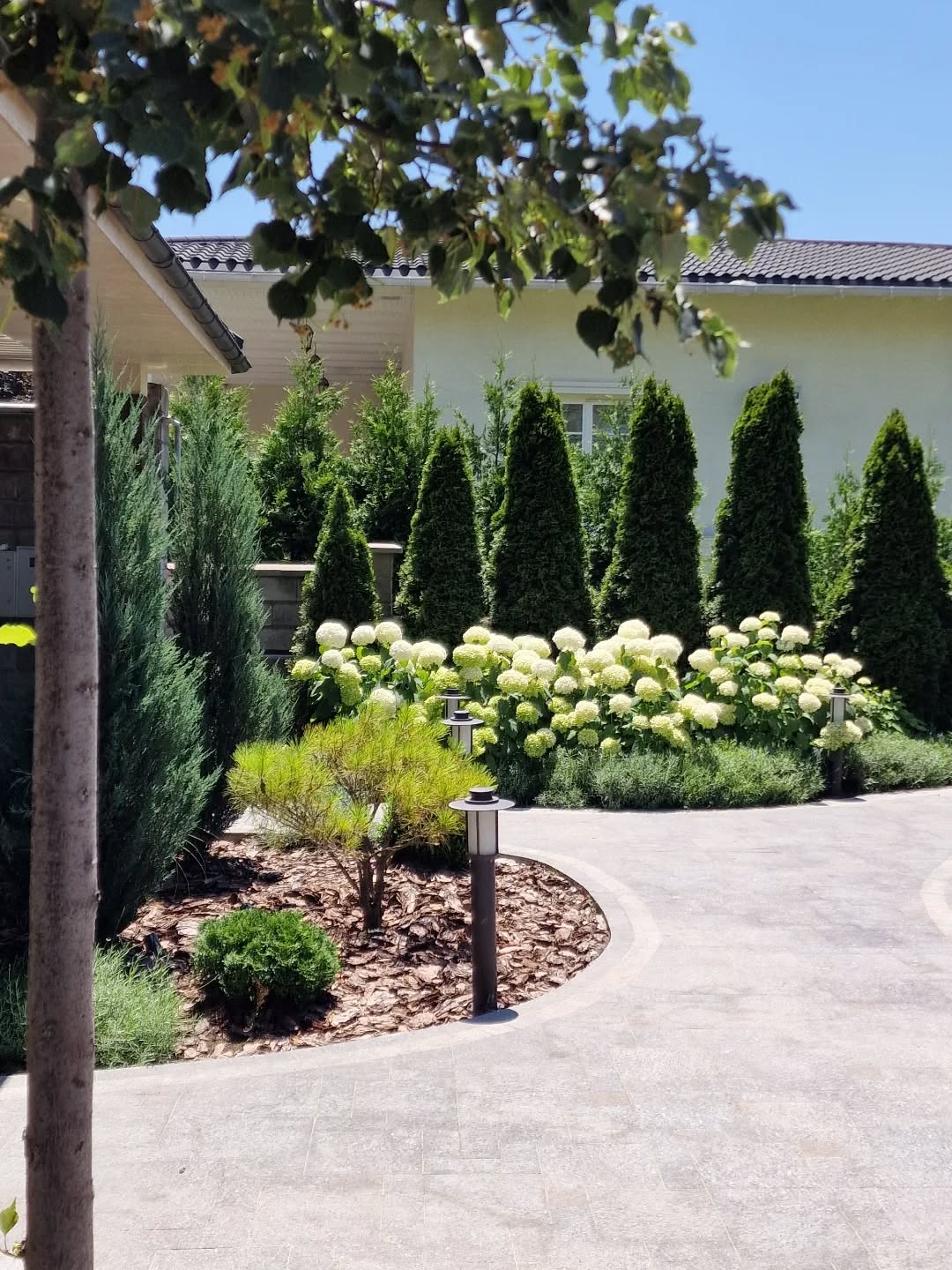 Фрагмент сада, который мы делали 2 года назад.
#ЛандшафтАлматы
#ЛандшафтныйДизайнерАлматы
#ЛандшафтныйДизайнАлматы
#АлматыЛандшафт
#АлматыЛандшафтныйДизайн
#СадовникАлматы
#СадовникиАлматы
#АлматыСадовники
#АлматыСадовник
#КонсультацииПоУходуЗаСадом
#УходЗаСадомВАлматы
#УходЗаРастениямиВАлматы
#АлматыУходаСадом
#ГазонАлматы
#АлматыГазон
#АлматыПосадкаГазона
#укладкагазонавалматы
#посевгазонавалматы
#ОзеленениеАлматы
#АлматыОзеленение
#озеленениевАлматы
#автополиввАлматы
#автополивАлматы