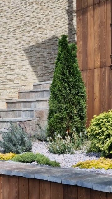 Небольшой уголок сада наших клиентов, который сделали в начале августа. В следующем году будет еще красивее!
#ЛандшафтАлматы
#ЛандшафтныйДизайнерАлматы
#ЛандшафтныйДизайнАлматы
#АлматыЛандшафт
#АлматыЛандшафтныйДизайн
#СадовникАлматы
#СадовникиАлматы
#АлматыСадовники
#АлматыСадовник
#КонсультацииПоУходуЗаСадом
#УходЗаСадомВАлматы
#УходЗаРастениямиВАлматы
#АлматыУходаСадом
#ГазонАлматы
#АлматыГазон
#АлматыПосадкаГазона
#укладкагазонавалматы
#посевгазонавалматы
#ОзеленениеАлматы
#озеленениевАлматы
#АлматыОзеленение
#озеленениевАлматы
#автополиввАлматы
#автополивАлматы