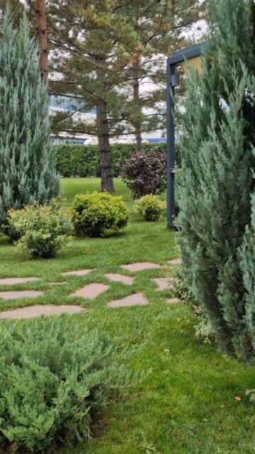 Наша работа, которую делали 6 лет назад.
Девичий виноград хорошо разросся и оплел всю беседку.
#ЛандшафтАлматы
#ЛандшафтныйДизайнерАлматы
#ЛандшафтныйДизайнАлматы
#АлматыЛандшафт
#АлматыЛандшафтныйДизайн
#СадовникАлматы
#СадовникиАлматы
#АлматыСадовники
#АлматыСадовник
#КонсультацииПоУходуЗаСадом
#УходЗаСадомВАлматы
#УходЗаРастениямиВАлматы
#АлматыУходаСадом
#ГазонАлматы
#АлматыГазон
#АлматыПосадкаГазона
#укладкагазонавалматы
#посевгазонавалматы
#ОзеленениеАлматы
#АлматыОзеленение
#озеленениевАлматы
#автополиввАлматы
#автополивАлматы